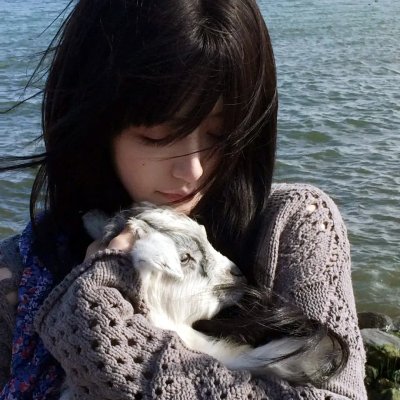 杏苑风流